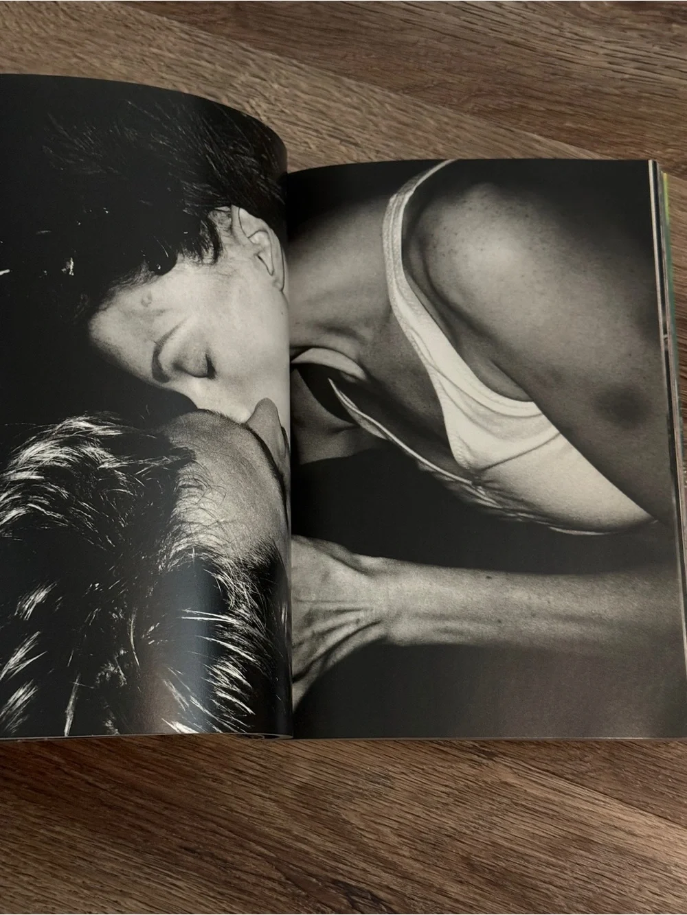 Mario Testino Any Objections? Photography Art Book Phaidon 1998